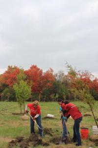 Helping bridge the gap between cities and nature, American Forests has helped plant trees in urban environments for decades, just like this project in Detroit, Ian's hometown. 